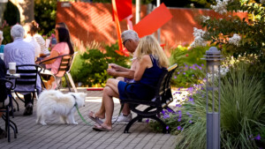 People sitting enjoying outdoor weather