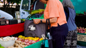 Woman food shopping at the farmer's market