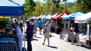 People walking in outdoor market