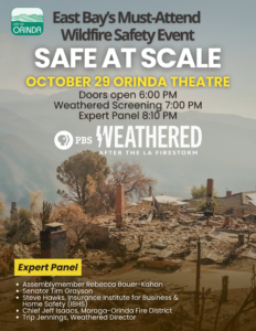 Flyer for safe at scale